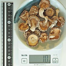 乾燥椎茸 10g