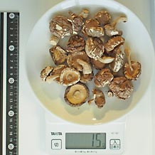 乾燥椎茸 15g