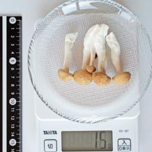 ぶなしめじ(生)