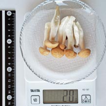 ぶなしめじ(生)