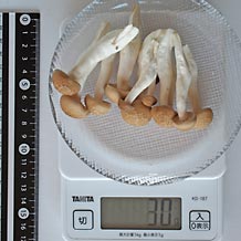 ぶなしめじ(生)