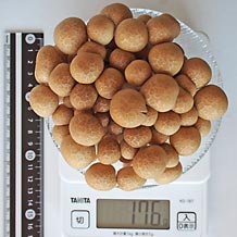 ぶなしめじ(生)