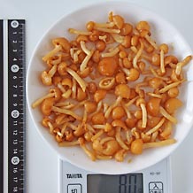 なめこ80gを広げたもの