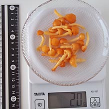 なめこ味噌汁一杯分