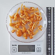なめこ40g
