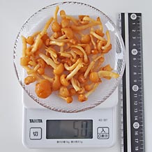 なめこ50g