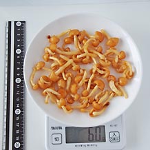 なめこ60g