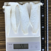 エリンギ 54g