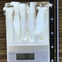 エリンギ 78g