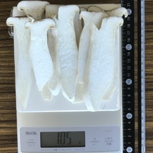 エリンギ 105g