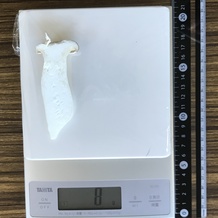 エリンギ 8g