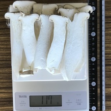 エリンギ 117g