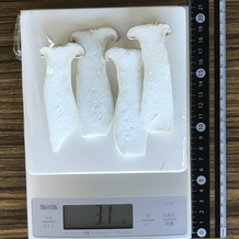 エリンギ 31g