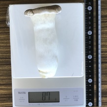 エリンギ 87g