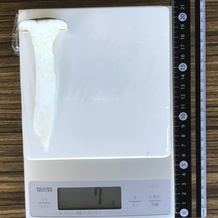 エリンギ 7g