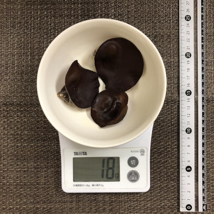 生きくらげ3個18g