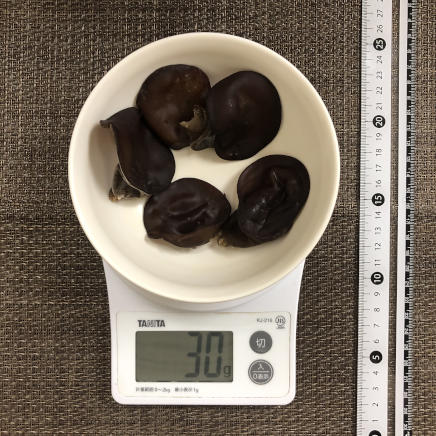 生きくらげ5個30g