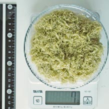 とろろ昆布 7g