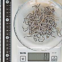 塩昆布 8g