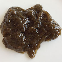 沖縄もずくのクロースアップ