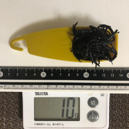 10g（大さじ１杯ほど）のゆでひじき