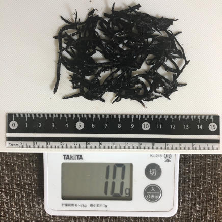 お皿に並べた10gのゆでひじき