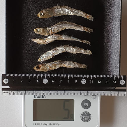 5g(中サイズ5本)のにぼし