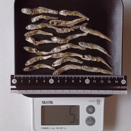 5g(小サイズ20本)のにぼし