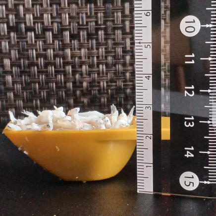 横から見た大さじ1杯のしらす 6g