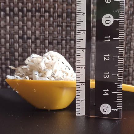 横から見た大匙に盛ったしらす 10g
