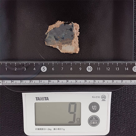 サバの水煮(尾) 9g