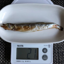 カラフトししゃも 2