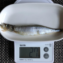 カラフトししゃも 3