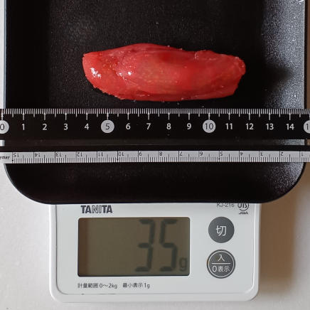 1/2腹35gのたらこ