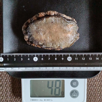 殻・内臓を取除いたアワビ(大) 48g