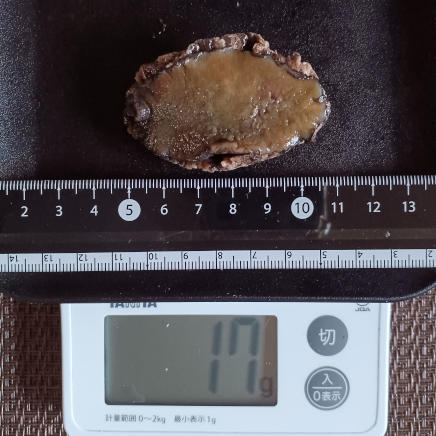 殻・内臓を取除いたアワビ(小) 17g