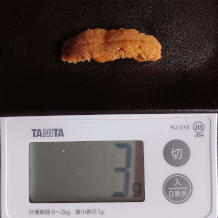 ウニ 6