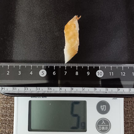 厚さ約1㎝のちくわ 5g