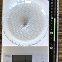 釜揚げしらす 1g