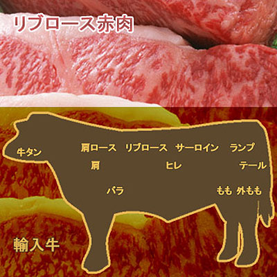 牛肉リブロース赤肉
