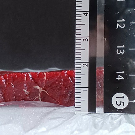 鯨肉の厚さ約1.8㎝