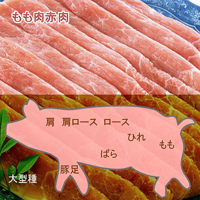 豚もも肉赤肉