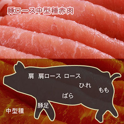 豚ロース中型種赤肉