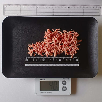 40gの豚挽き肉