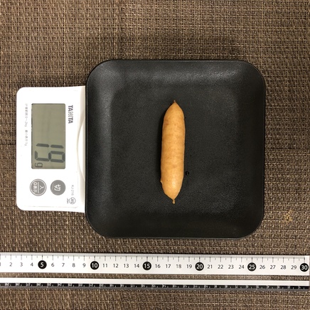 1本分のソーセージ