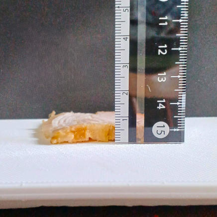 焼き豚1枚10gの厚さ約5㎜