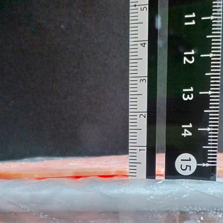 1枚10gのランチョンミート(厚さ約2㎜)