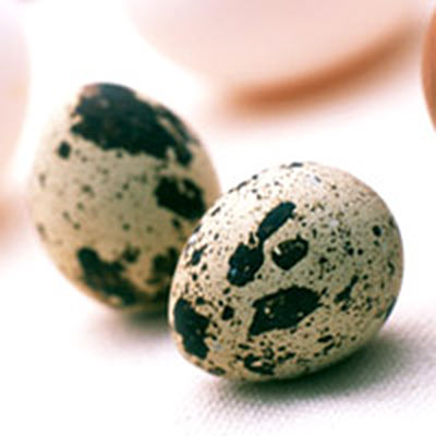 うずらの卵