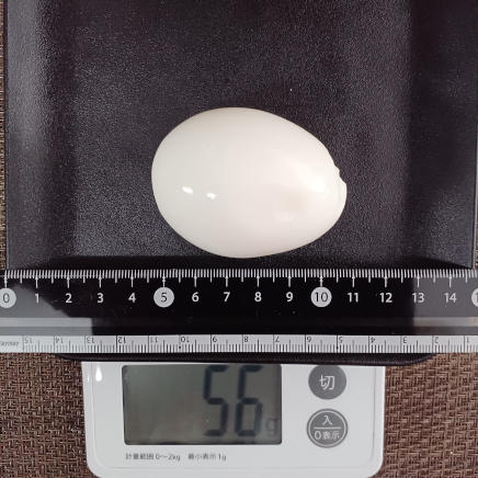 ゆで卵 56g