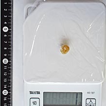 甘納豆(えんどう豆)1個